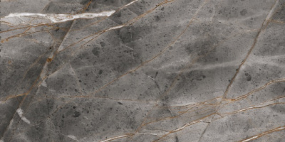 Velsaa Python Rock Dark 60x120 Керамогранит