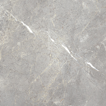 Charme Evo Imperiale Pet 60х60 Керамогранит Серый