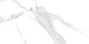 Neodom Splendida Statuario Irish Grey Pol. 60x120 Универсальная