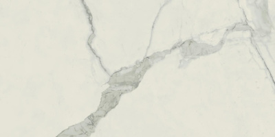 Empire Statuario Mat. 60x120 Керамогранит