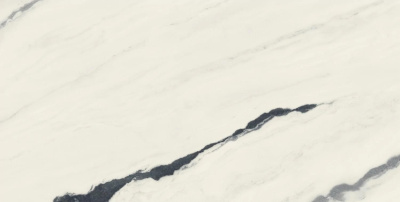 Forte Dei Marmi Panda White Mat. 80x160 Керамогранит