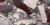 Exotic Vintage Wine 80x160 Керамогранит Exotic Vintage Wine 80x160 Керамогранит