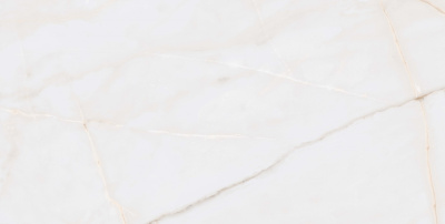 Essenza PW R 60x120 Керамогранит