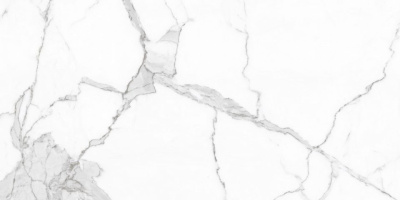 Palacio Remix Statuario Polished 60x120 Универсальная