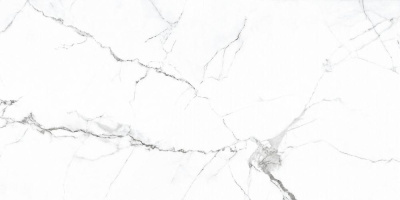 Colonial White PR206 Pol. 60x120 Керамогранит