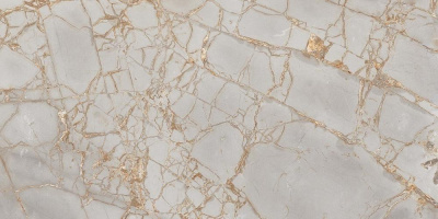 Golden Grey PR212 Pol. 60x120 Керамогранит