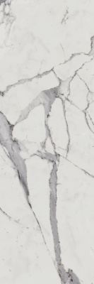 Charme Evo Statuario 25X75 Плитка настенная Белая