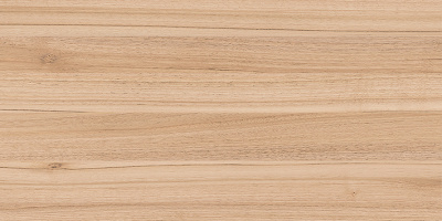 Organic 20x40 08-01-15-2453 Плитка настенная коричневая
